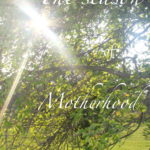 The Season of Motherhood