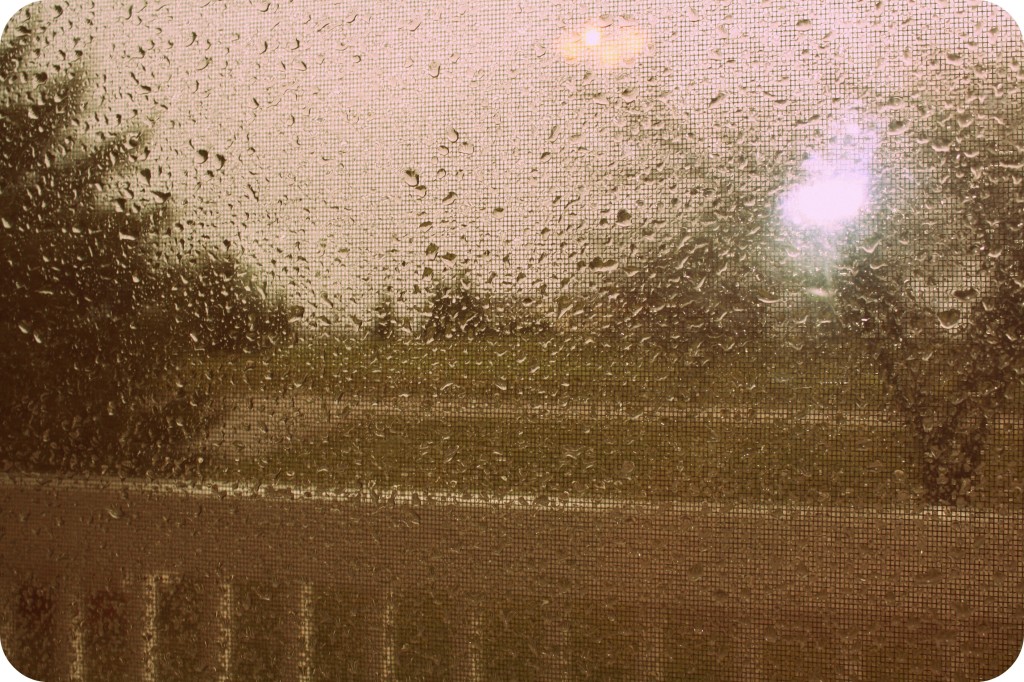 Adapicofrain