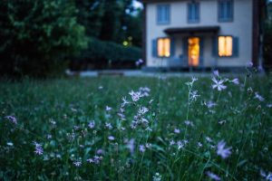 finding dream home not happy