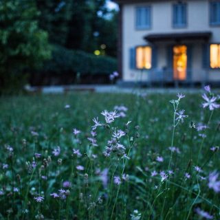 finding dream home not happy
