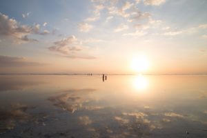 Remedy Pregnancy Loss